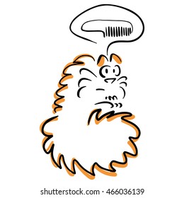 Shaggy cat thinks of comb