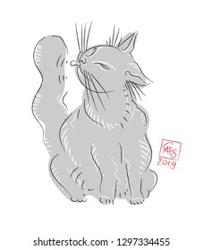 shaggy cat washes