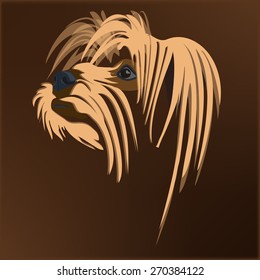 Shaggy dog
