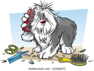 Shaggy dog brushing his fur