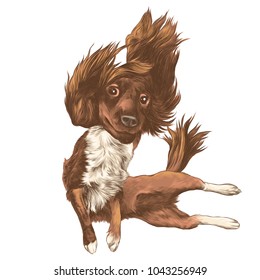 shaggy dog with disheveled hair flying in the air with its paws to the side, sketch vector graphics colored drawing
