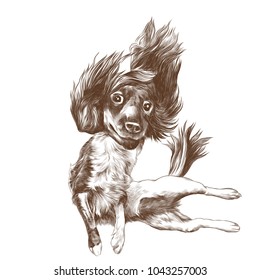 shaggy dog with disheveled hair flying in the air with its paws to the side, sketch vector graphic monochrome pattern