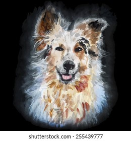 Shaggy dog on black background