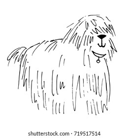 Shaggy dog vector hand drawn illustration