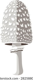 Shaggy Mane Mushroom Vector Illustration Isolated on White Background
