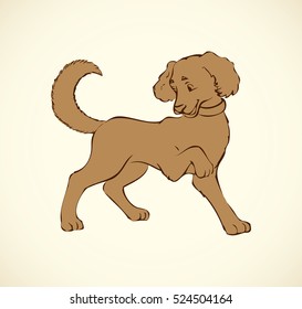 Shaggy pretty cute big dog isolated on white backdrop. Freehand outline ink hand drawn picture sign sketchy in art retro doodle style pen on paper. Closeup side view with space for text