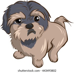 a shaggy puppy
