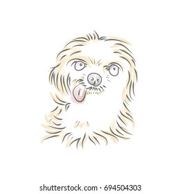 Shaggy puppy on white background, vector