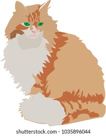 Shaggy red cat