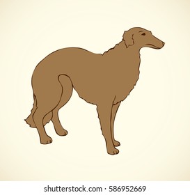 Shaggy sighthound dog isolated on white backdrop. Black ink hand drawn picture sketch in art retro doodle style pen on paper. Closeup side view with space for text