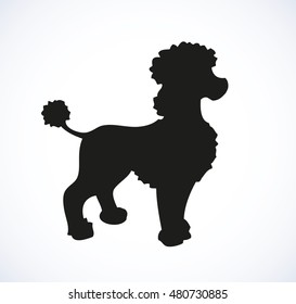 Shaggy Standard Poodle isolated on white background. Black ink hand drawn picture sketch in art retro doodle style pen on paper. Closeup side view with space for text