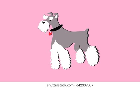 Shaggy terrier on a pink background. greeting card