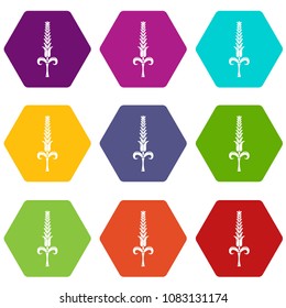 Shaky wheat icons 9 set coloful isolated on white for web