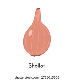 Ilustração Shallot Flat Cartoon Vetor Isolada no Fundo Branco