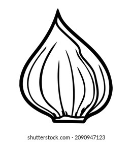 ilustración vectorial de la línea de shallot, aislada en fondo blanco, vista superior