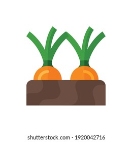 Shallot, Onion, Garlic, Harvest, Garden Flat Icon Logo Illustration Vector Isolated. Spring and Season Icon-Set. Suitable for Web Design, Logo, App, and UI.