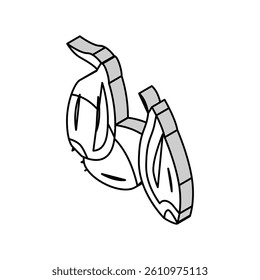 shallot onion isometric icon vector. shallot onion sign. isolated symbol illustration