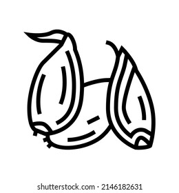 shallot onion line icon vector. shallot onion sign. isolated contour symbol black illustration