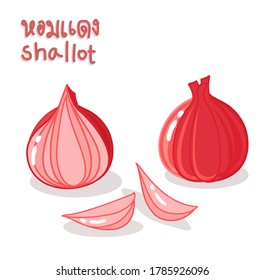 Shallot in Thai Language it mean "Shallot"