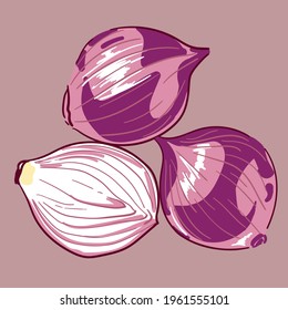 Shallot vector, Onions, Red onions