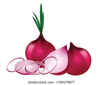 Shallot vector, Whole Shallot  cut into pieces, Virtual painting