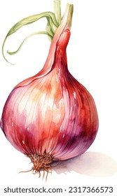 Shallot Watercolor illustration. Hand drawn underwater element design. Artistic vector marine design element. Illustration for greeting cards, printing and other design projects.