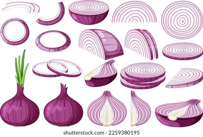 Shallot in whole and sliced pieces illustration