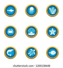 Shallow icons set. Flat set of 9 shallow vector icons for web isolated on white background