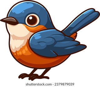 
A Shama Thrush Bird Vector Illustration
