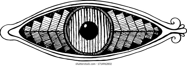 Shamanic eye - engraving style. Ink line artwork. Mystical occult witch eye. Shamanic sticker. Vector illustration.