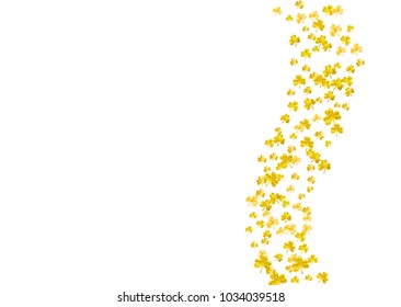 Shamrock background for Saint Patricks Day. 