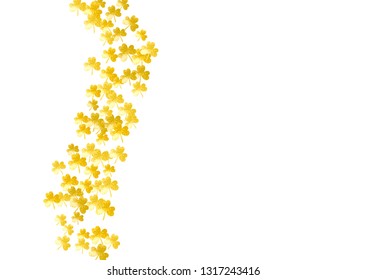 Shamrock background for Saint Patricks Day.  Lucky trefoil confetti. Glitter frame of clover leaves. Template for poster, gift certificate, banner. Dublin shamrock background.