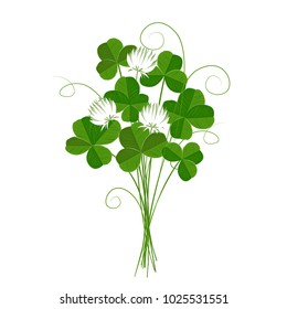 Shamrock or clover, emblem of Ireland and St Patrick's Day. Isolated.