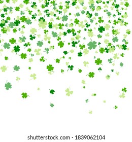 Shamrock or clover leaves flat design green backdrop pattern vector illustration isolated on white background. St Patricks Day shamrock symbols decorative elements.