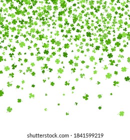 Shamrock or clover leaves flat design green backdrop pattern vector illustration isolated on white background. St Patricks Day shamrock symbols decorative elements.