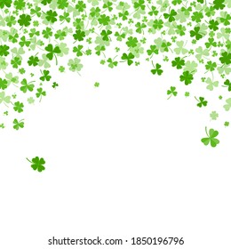 Shamrock or clover leaves flat design green backdrop pattern vector illustration isolated on white background. St Patricks Day shamrock symbols decorative elements.