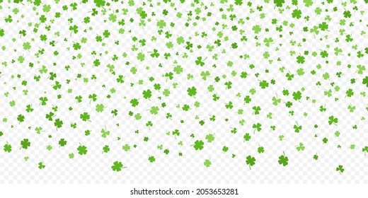 Shamrock or green clover leaves pattern background flat design vector illustration isolated on transparent background. St Patricks Day shamrock symbols decorative elements pattern.