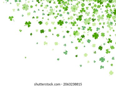 Shamrock or green clover leaves pattern background flat design vector illustration isolated on white background. St Patricks Day shamrock symbols decorative elements pattern.