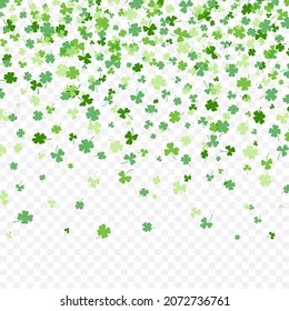 Shamrock or green clover leaves pattern background flat design vector illustration isolated on transparent background. St Patricks Day shamrock symbols decorative elements pattern.