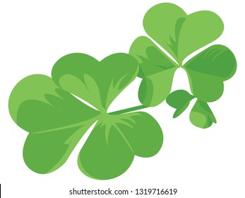 shamrock with isolated background