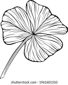 Shamrock leaf isolated on white. Hand drawn vector illustration. Eps10leaves isolated on white. Hand drawn. Eps10