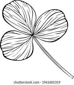 Hojas de Shamrock aisladas en blanco. Ilustración vectorial dibujada a mano. Eps10deja aislado en blanco. Dibujado a mano. Eps10