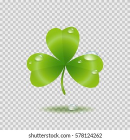 Shamrock leaf with water drops isolated on transparent background. Green irish symbol Good Luck. Vector clover icon for Saint Patrick's Day greeting card design