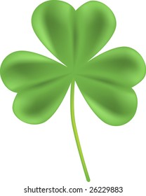 Shamrock vector
