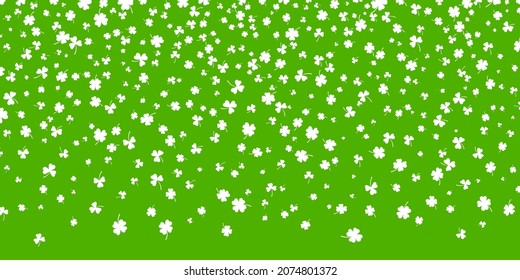 Shamrock or white clover leaves pattern background flat design vector illustration isolated on green background. St Patricks Day shamrock symbols decorative elements pattern.