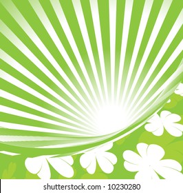 Shamrocks em fundo verde