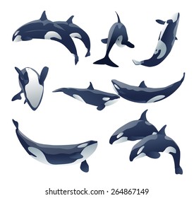 132 Shamu show Images, Stock Photos & Vectors | Shutterstock