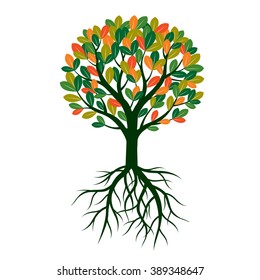 Shape of Autumn Tree with Color leaves and Roots. Vector outline Illustration. Seasonal tree and decorative element for print. 