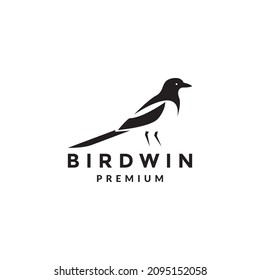 shape bird starling branch logo design