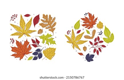 Forma con brillo otoño del conjunto de arreglos de vectores de color de hoja diferentes